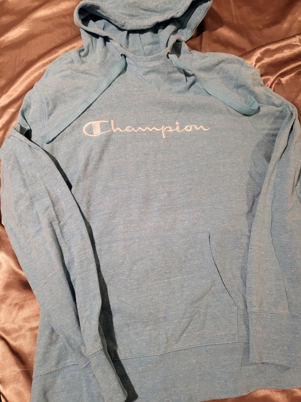 Champion Sky Blue Pullover Hoodie with Script Logo
